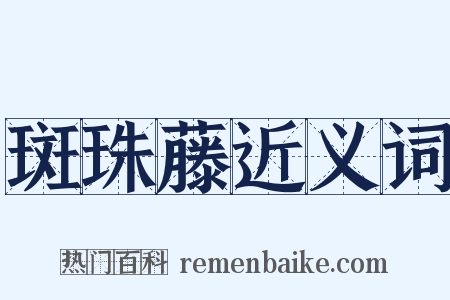 斑珠藤近义词是什么意思的图片